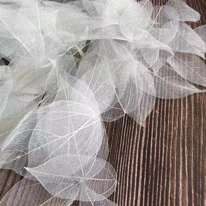 Dried Flower Pressed - 5 ~ 9CM * 2 ~