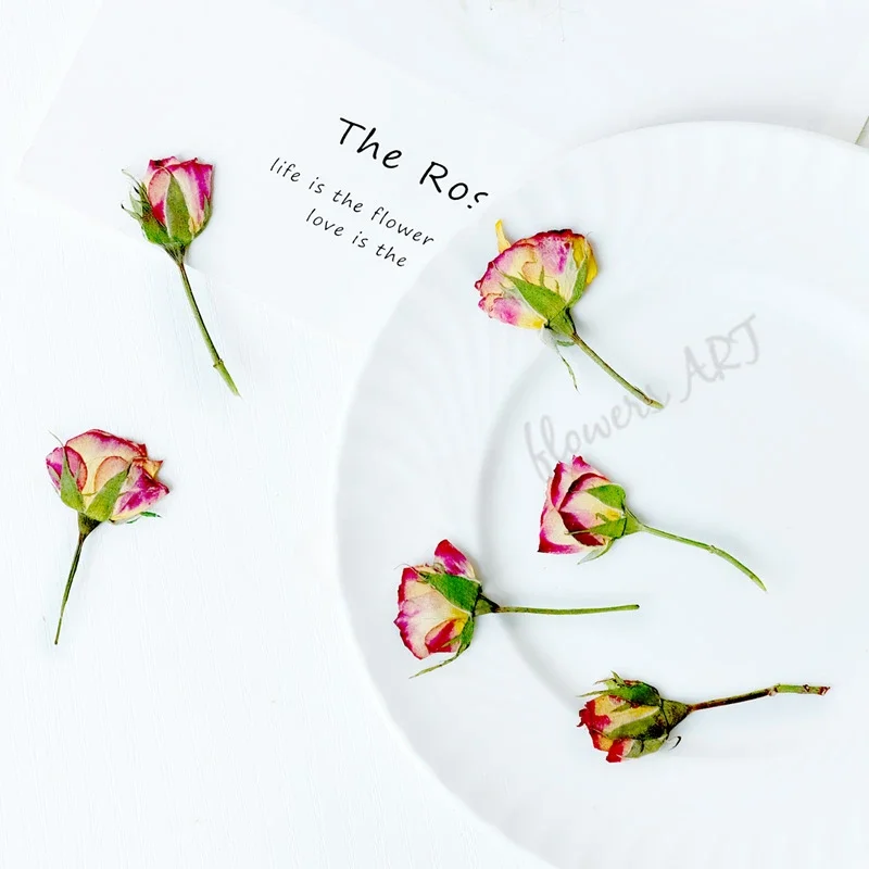 Pétales de rose pressés, fleur - Dried Flower Pressed avis et prix
