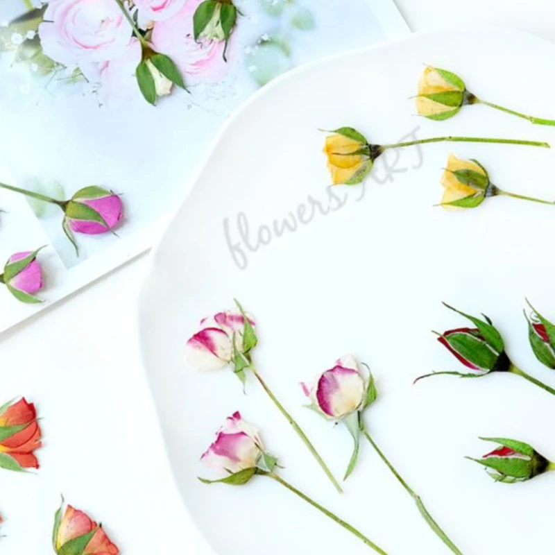 Pétales de rose pressés, fleur - Dried Flower Pressed avis et prix