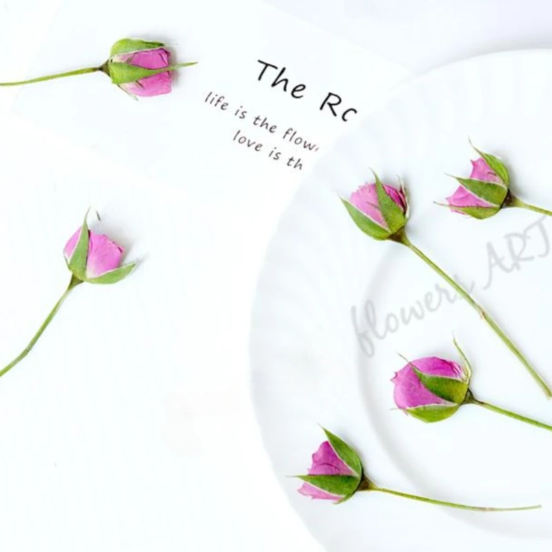 Pétales de rose pressés, fleur - Dried Flower Pressed avis et prix