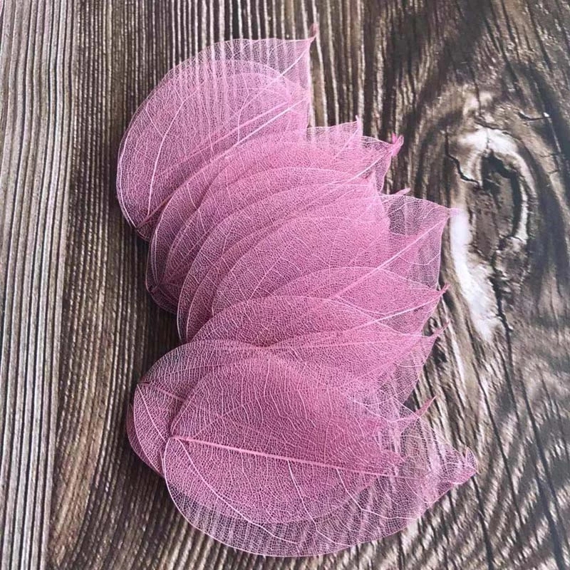 5 ~ 9CM * 2 ~ 3.5CM, 100 pièce - Dried Flower Pressed avis et prix