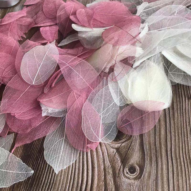 5 ~ 9CM * 2 ~ 3.5CM, 100 pièce - Dried Flower Pressed avis et prix