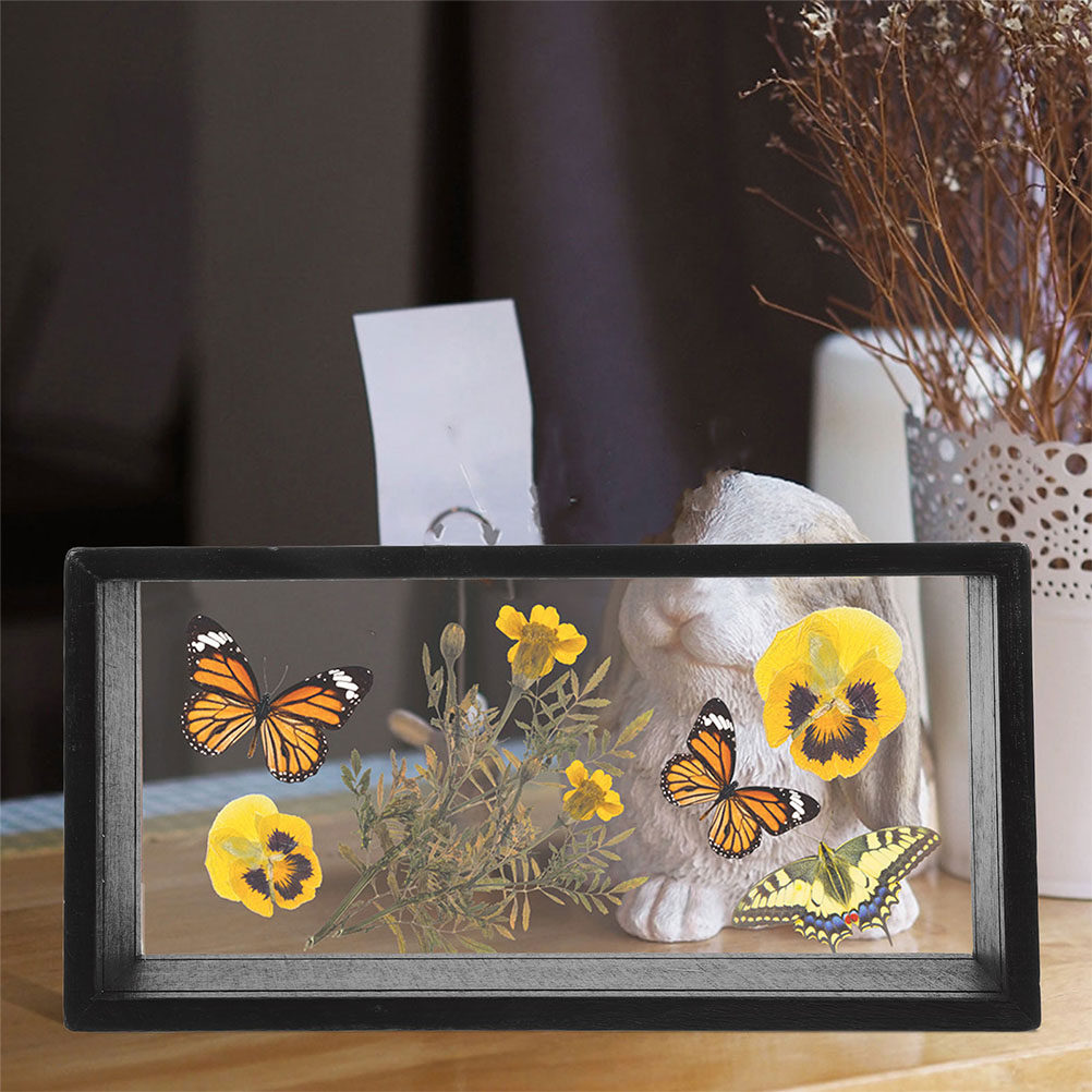 2 pièces de cadre en acrylique - Dried Flower Pressed avis et prix