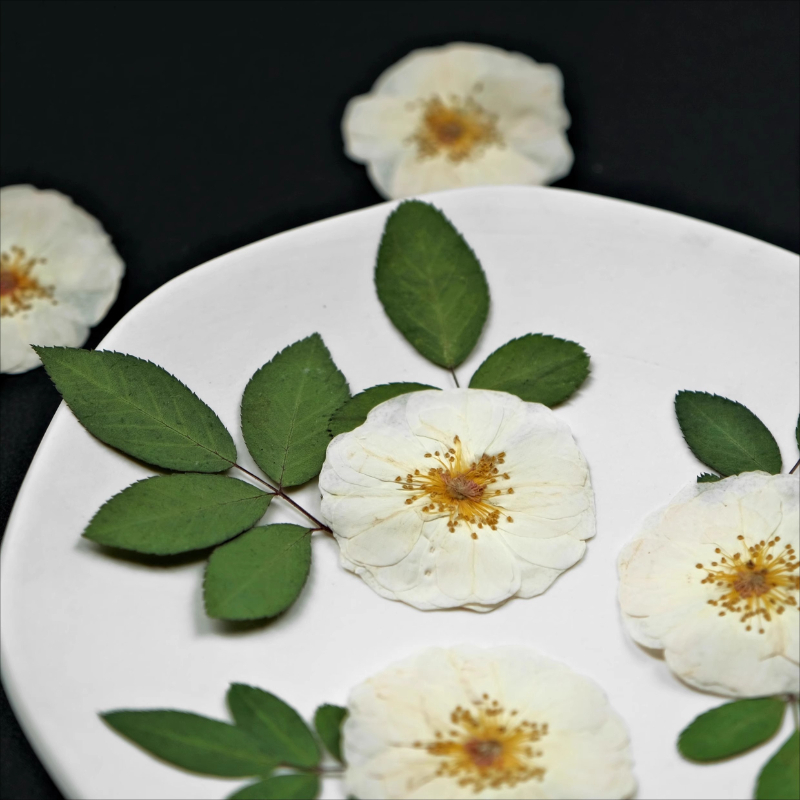 Fleurs pressées de roses blanc - Dried Flower Pressed avis et prix