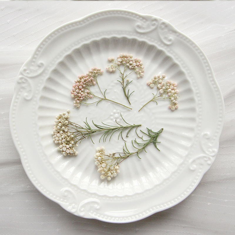 12 pièces, Branches de fleurs  - Dried Flower Pressed avis et prix